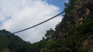 在森林山脉之间横跨绿水海的桥上9秒视频