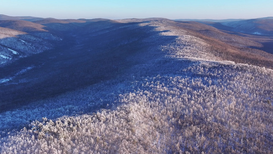 航拍大兴安岭林海雪原雾凇红柳树景象视频素材视频