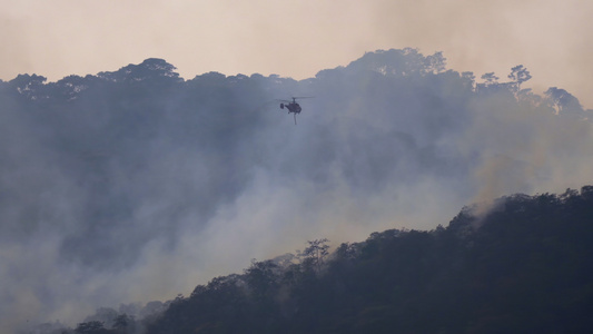 直升机向森林纵火浇水视频