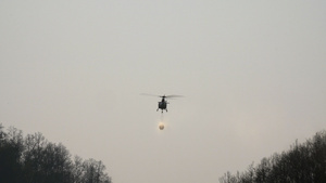为森林火灾运水桶的直升机12秒视频