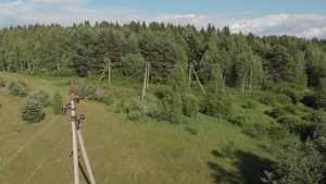 绿色农村地区森林空中射杀林中直线和电线杆13秒视频