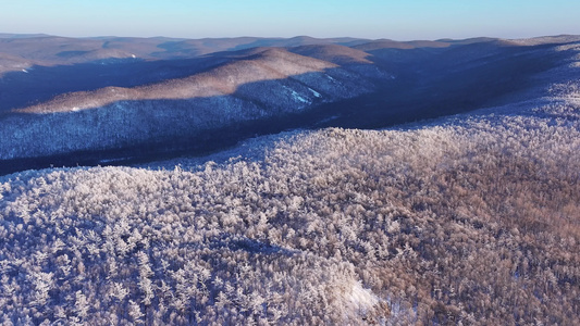 航拍大兴安岭林海雪原雾凇红柳树景象视频素材视频