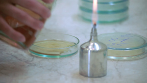 实验室测试实验室研究实验室实验中的蜡烛火焰15秒视频