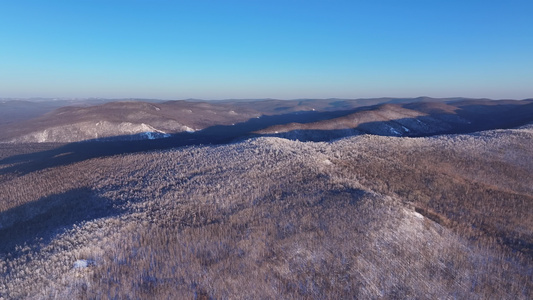 航拍大兴安岭林海雪原雾凇红柳树景象视频素材视频