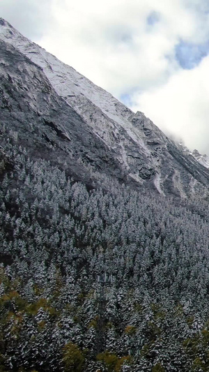 四川理县旅游景区毕棚沟雪景航拍视频原始森林54秒视频