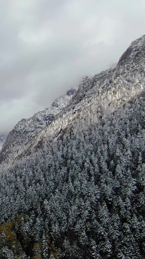 四川理县旅游景区毕棚沟雪景航拍视频旅游景点54秒视频