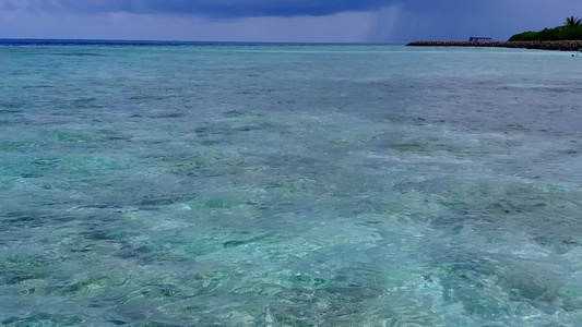 白沙背景的水蓝色海洋中美丽的海岸线海滩野生动物的空中视频