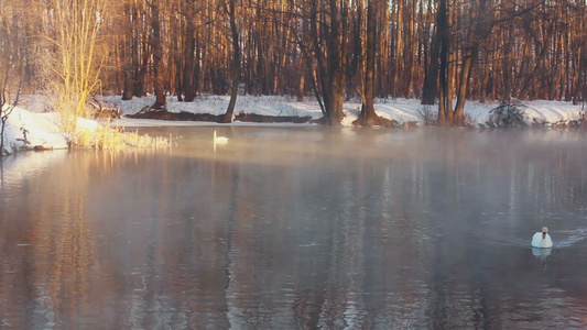 冬季风景森林湖上喷雾视频