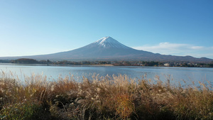 清晨在川口湖的富士山25秒视频