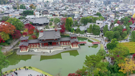 有秋叶的寺庙乌吉市京都雅潘视频