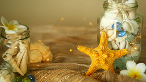 装满贝壳珊瑚带丁香灯的海洋物品海星梅花作为装饰品的11秒视频