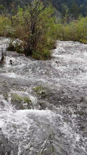 九寨沟珍珠海瀑布旅游景点5秒视频