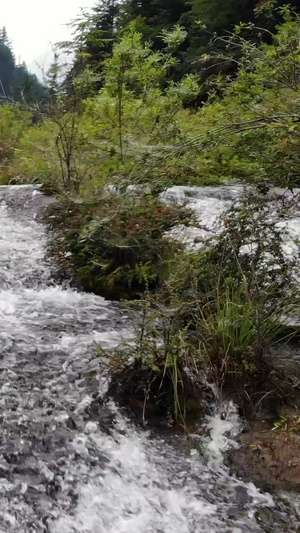 九寨沟珍珠海瀑布旅游景区5秒视频