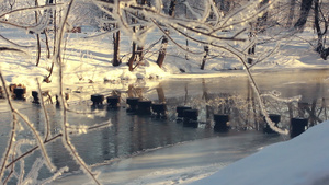 冬季河在公园奇幻乐冷冻河在冬季公园25秒视频