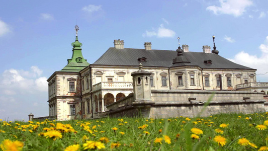 绿色山上的宫殿旧历史建筑视频