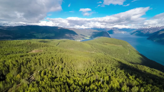 航拍美丽自然森林视频