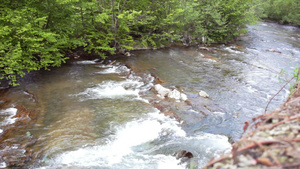 绿林中流淌的山河美丽自然景观12秒视频