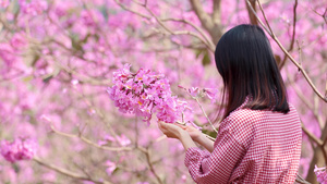 4K实拍春天女性背影手捧花朵25秒视频