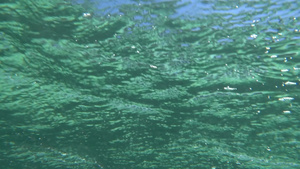 水下浮流海水表面的慢动作拍摄30秒视频