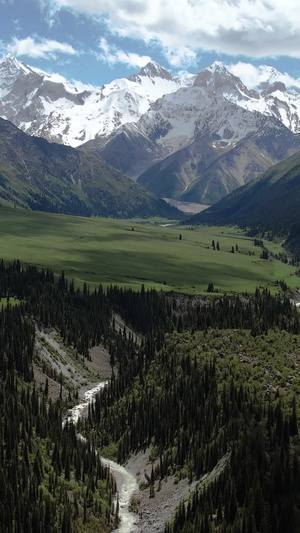 航拍4A昭苏夏塔国家森林公园雪山主峰雪莲峰视频旅游景区42秒视频