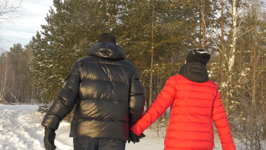 幸福的情侣男女手握手在寒冬雪林中行走视频