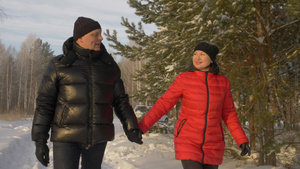 冬季在雪地松树林中行走的男女夫妇手牵手20秒视频