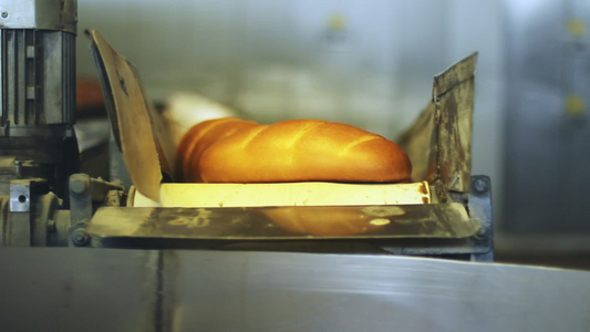 传送带上的面包面包厂面包厂生产线视频