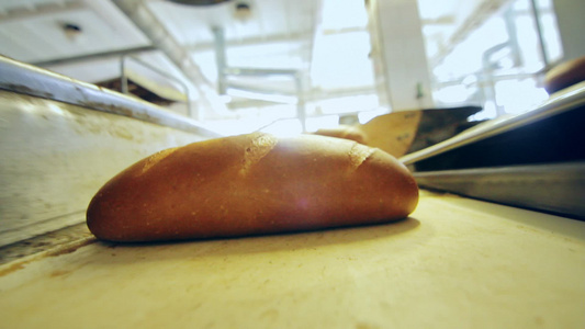 运输带面包的制造过程视频