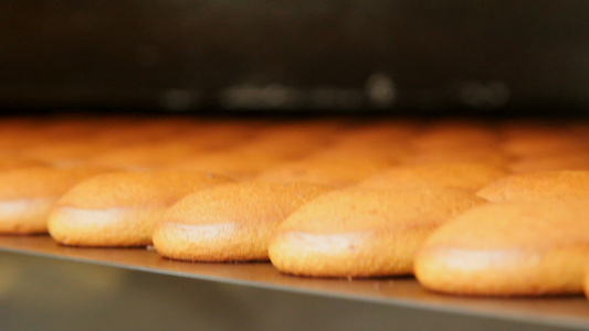 面包食品生产加工厂的面包产品制造视频