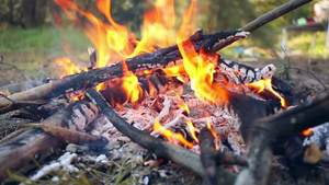 森林的邦火木营灾正在燃烧自然背景15秒视频