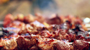 烧烤肉用木柴人转弯叉子烧烤食物19秒视频