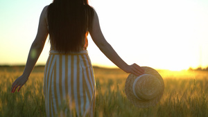 美丽的年轻女子手里拿着一顶帽子走在绿色的田野里浪漫16秒视频