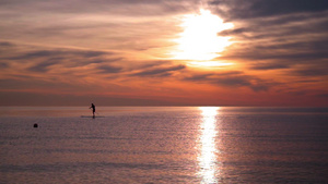 海落日时在冲浪板上人类的双轮长鸟儿飞过大海16秒视频