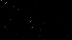竹叶粒子漂浮下落(较多）35秒视频