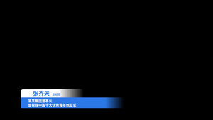 简约人名条pr模板11秒视频