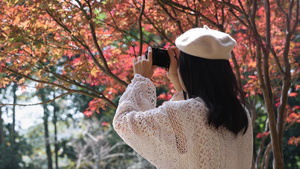 4K少女在红枫叶秋游拍照片玩实拍23秒视频