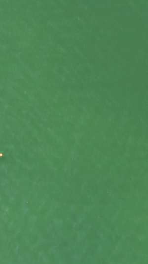 航拍龙舟训练水上项目42秒视频