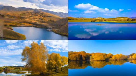 秋天乌兰布统自然风光黄色枯树湖泊视频