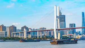 8K移动延时大气上海地标南浦大桥交通10秒视频