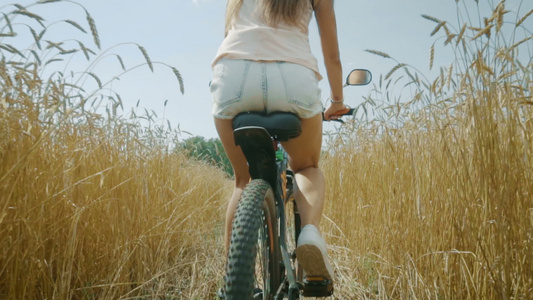 在小麦田中骑自行车的妇女视频