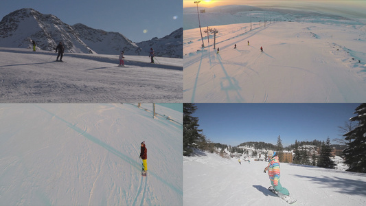 滑雪合集视频