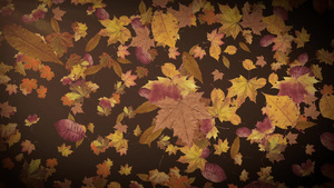 秋天叶流落动画25秒视频
