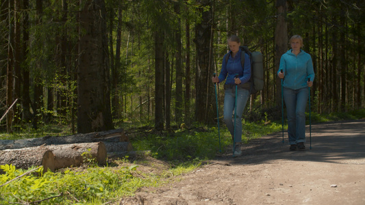 两个女人在森林里漫步视频