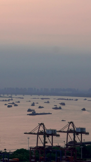 日落时刻繁忙港口码头港区集装箱堆场作业现场视频素材龙门吊12秒视频