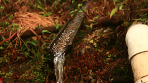 山泉水11秒视频