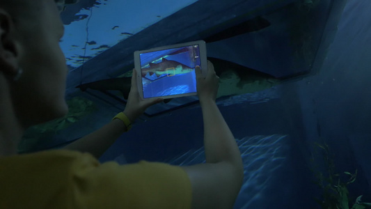 女人用垫子在海洋馆拍摄海动物视频