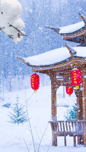 冬季下雪大雪背景视频雪花飘飘40秒视频