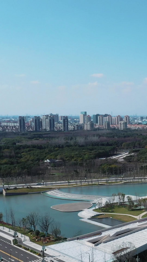 上海奉贤九棵树艺术中心旅游景点34秒视频