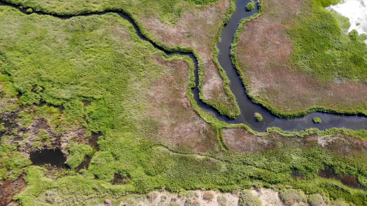 沼泽湿地俯视航拍视频