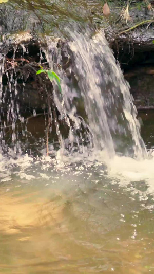 清凉小河流绿化公园实拍游泳池16秒视频